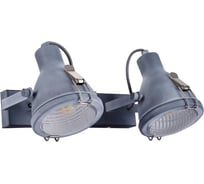 Настенный светильник Arte Lamp A9178AP-2GY