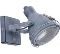 Настенный светильник Arte Lamp A9178AP-1GY