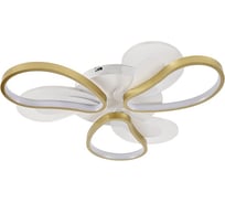 Потолочный светодиодный светильник ЭкономСвет 51209/3+3WT+GD