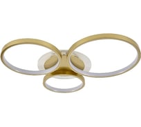 Потолочный светодиодный светильник ЭкономСвет 51210/3GD