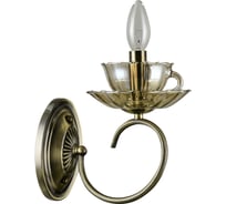 Настенный светильник Arte Lamp A1750AP-1AB