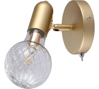 Настенный светильник Arte Lamp A8040AP-1SG