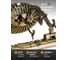 Настенный светильник Arte Lamp A6308AP-1AB 7
