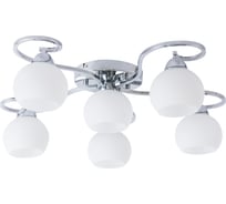 Потолочный светильник Arte Lamp A6058PL-6CC