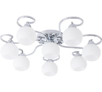 Потолочный светильник Arte Lamp A6058PL-8CC
