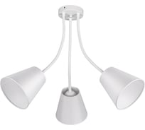 Потолочный светильник ЭкономСвет 10119/3WT WT