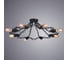 Потолочный светильник Arte Lamp A9344PL-8BK 2