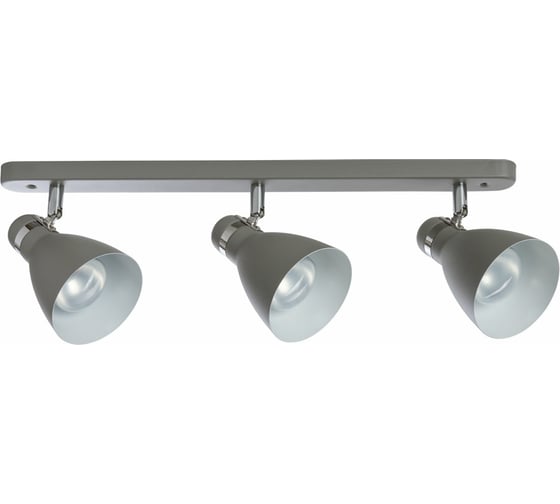 Потолочный светильник Arte Lamp A5049PL-3GY 1