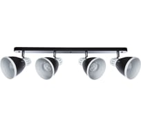 Потолочный светильник Arte Lamp A2215PL-4BK