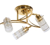 Потолочный светильник ЭкономСвет 11187/3FG WT