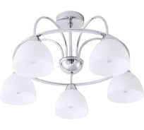 Потолочный светильник Arte Lamp A6057PL-5CC
