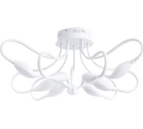 Потолочный светильник Arte Lamp A9475PL-9WH