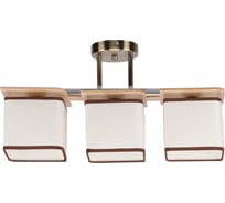 Потолочный светильник ЭкономСвет 24089/3BR BR