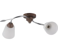 Потолочный светильник ЭкономСвет 66002/2WD+CR WT