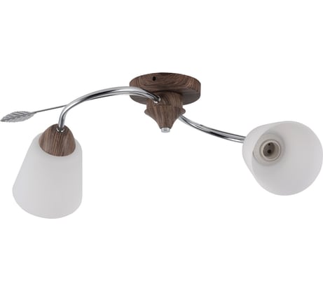 Потолочный светильник ЭкономСвет 66002/2WD+CR WT