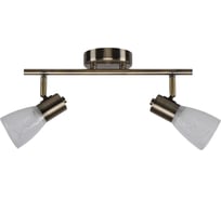 Спот потолочный ЭкономСвет 20786/2AB WT