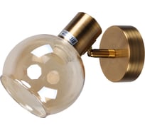 Спот настенный ЭкономСвет 20783/1wGD+BK BR