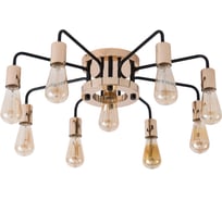 Потолочный светильник Arte Lamp A6001PL-9BK