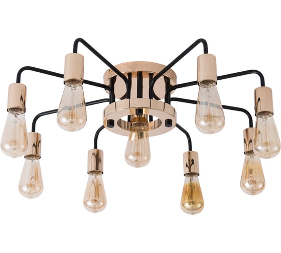 Потолочный светильник Arte Lamp A6001PL-9BK 1