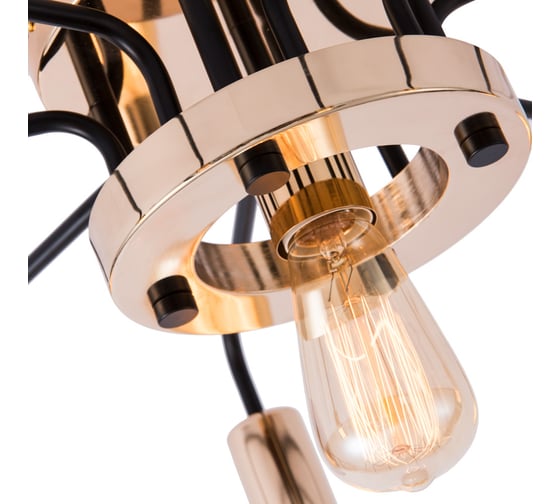 Потолочный светильник Arte Lamp A6001PL-9BK