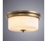 Потолочный светильник Arte Lamp A1735PL-3SR 2