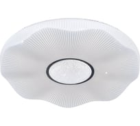 Потолочный светодиодный светильник ЭкономСвет 88009/65