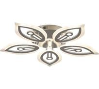 Светодиодный светильник ЭкономСвет 51269/5CR