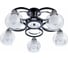 Потолочный светильник Arte Lamp A1604PL-5BK 1