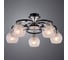 Потолочный светильник Arte Lamp A1604PL-5BK 2