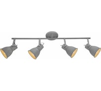 Потолочный светильник Arte Lamp A1677PL-4GY