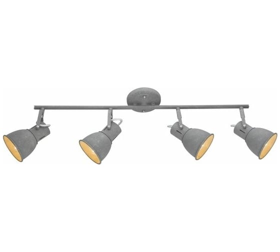 Потолочный светильник Arte Lamp A1677PL-4GY