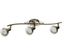 Потолочный светильник Arte Lamp A5219PL-3AB