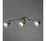 Потолочный светильник Arte Lamp A5219PL-3AB 2
