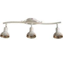 Потолочный светильник Arte Lamp A5219PL-3WG