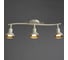 Потолочный светильник Arte Lamp A5219PL-3WG 2