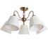 Потолочный светильник Arte Lamp A1509PL-5PB 1
