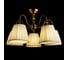 Потолочный светильник Arte Lamp A1509PL-5PB 2