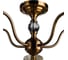 Потолочный светильник Arte Lamp A1509PL-5PB 4
