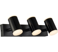 Настенный светодиодный светильник Gerhort G61293/3wBK