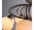 Потолочный светильник Arte Lamp A6342PL-8WG 4