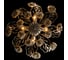 Потолочный светильник Arte Lamp A6356PL-4WG 3