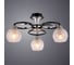 Потолочный светильник Arte Lamp A1604PL-3BK 2