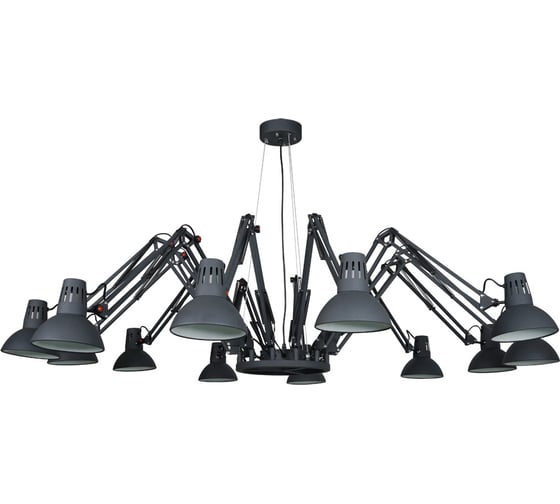 Подвесной светильник Arte Lamp A2043SP-12BK