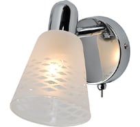 Настенный светильник Eurosvet 20053 споты, 1, хром 00000077915