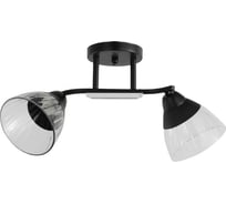 Люстра ЭкономСвет классическая 12205/2BK CL+BK