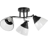 Люстра ЭкономСвет классическая 12205/3BK CL+BK