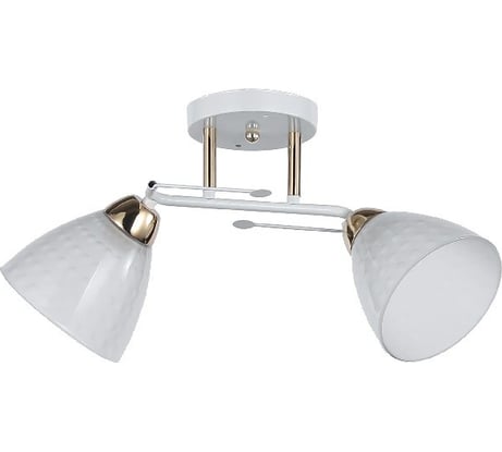 Люстра ЭкономСвет классическая 12232/2WT+FGD WT