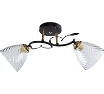 Люстра ЭкономСвет классическая 12234/2BK+FGD CL