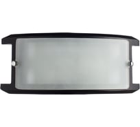 Настенный светильник Arte Lamp A6462AP-1CK