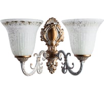 Настенный светильник Arte Lamp A1032AP-2WG